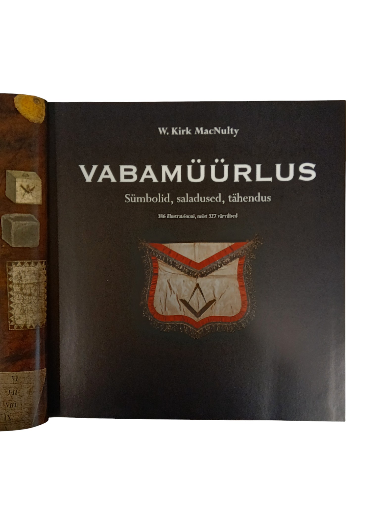 Massoonlase põll lisadega - Image 11