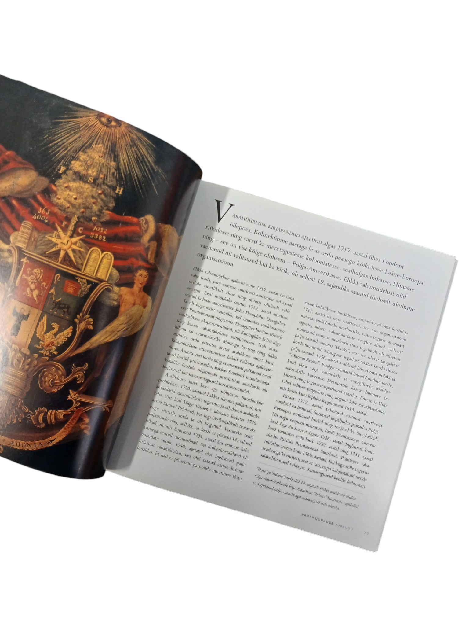 Massoonlase põll lisadega - Image 12