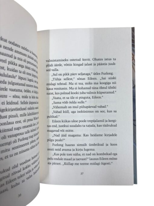 "Sellised väiksed asjad" Claire Keegan - Image 2