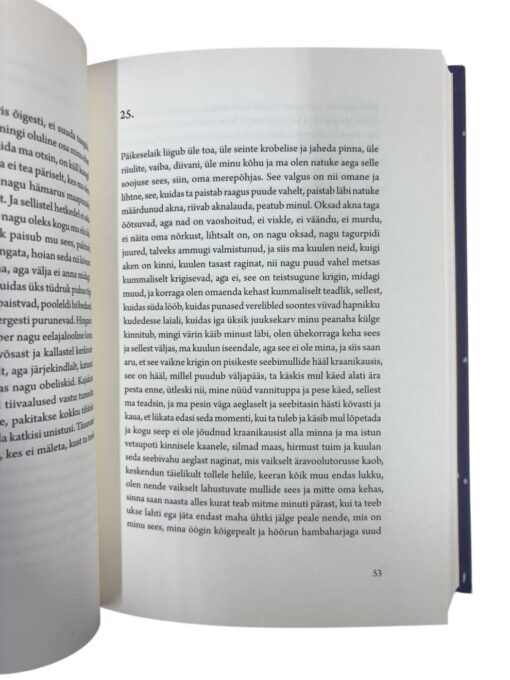 "Vaadates ööd" Carolina Pihelgas - Image 2