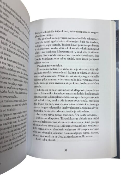 "Ja tee lõpus on ookean" Neil Gaiman - Image 2