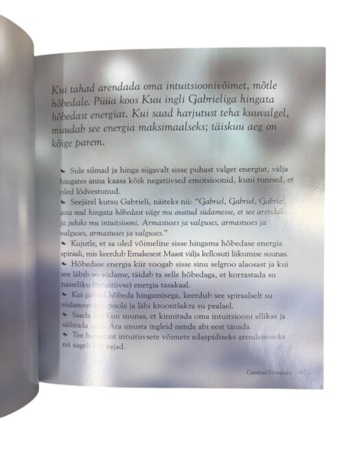 "Ingel igaks päevaks" Angela McGerr - Image 2