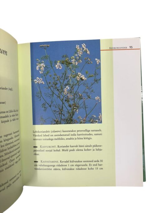"Maitsetaimede leksikon" - Image 2