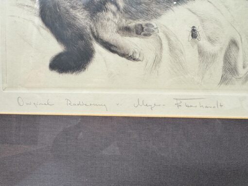 Curt Meyer "Kitten and Fly" (52x48) - Image 3