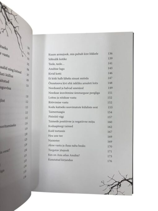 "Pilk šamaani maailma" Anu Pahka - Image 2