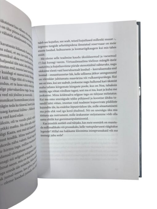 "Katku haud" Ene Mihkelson - Image 2