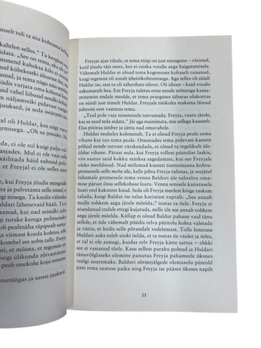 "Lõpparve" Yrsa Sigurdardottir - Image 2