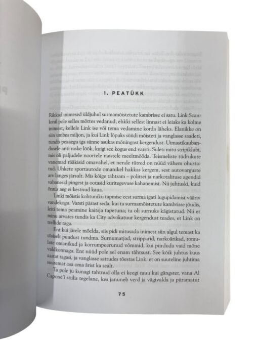 "Nurgaadvokaat" John Grisham - Image 2