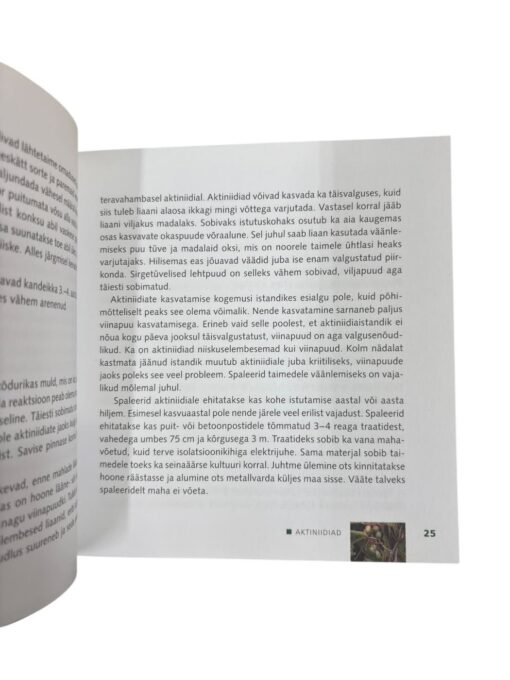 "Vähetuntud marjad aias" Robert Piir - Image 2