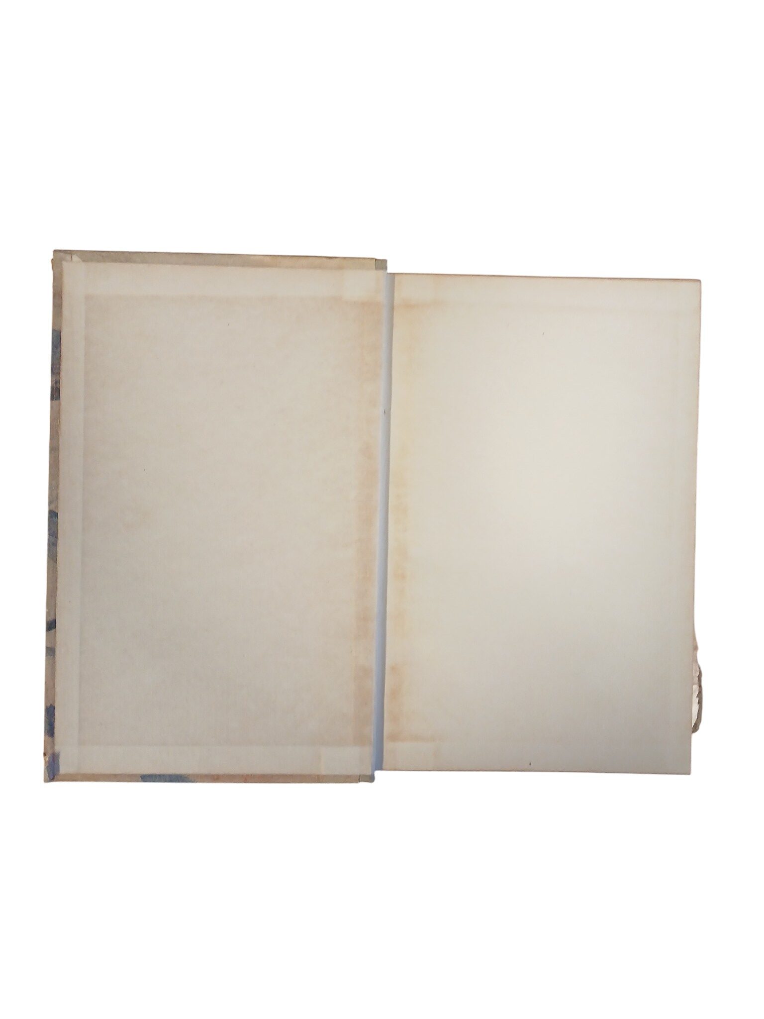 "Jäljed lumel" G.Brjantsev - Image 3