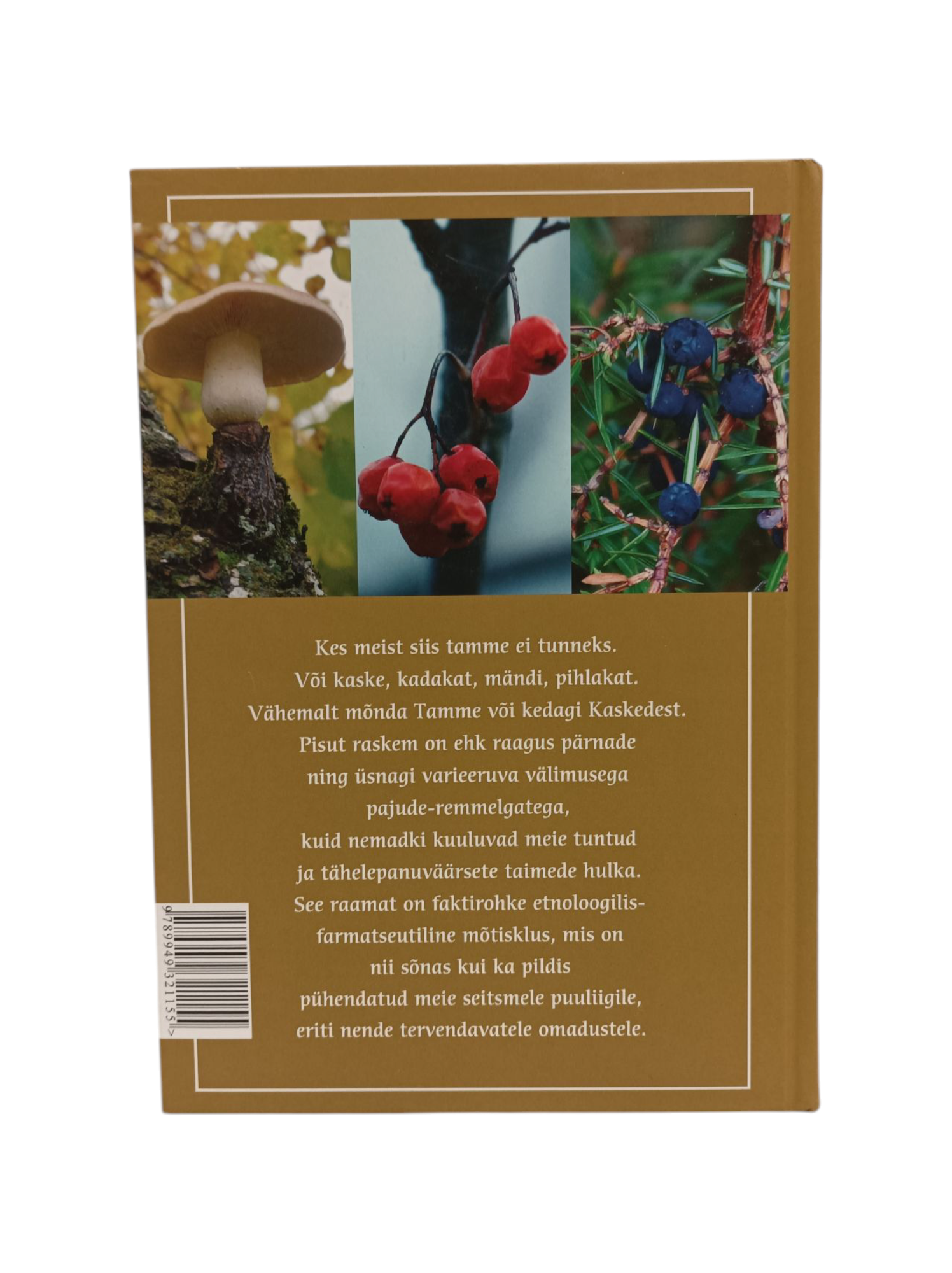 ``Seitse tervendavat puud`` Ain Raal - Image 2